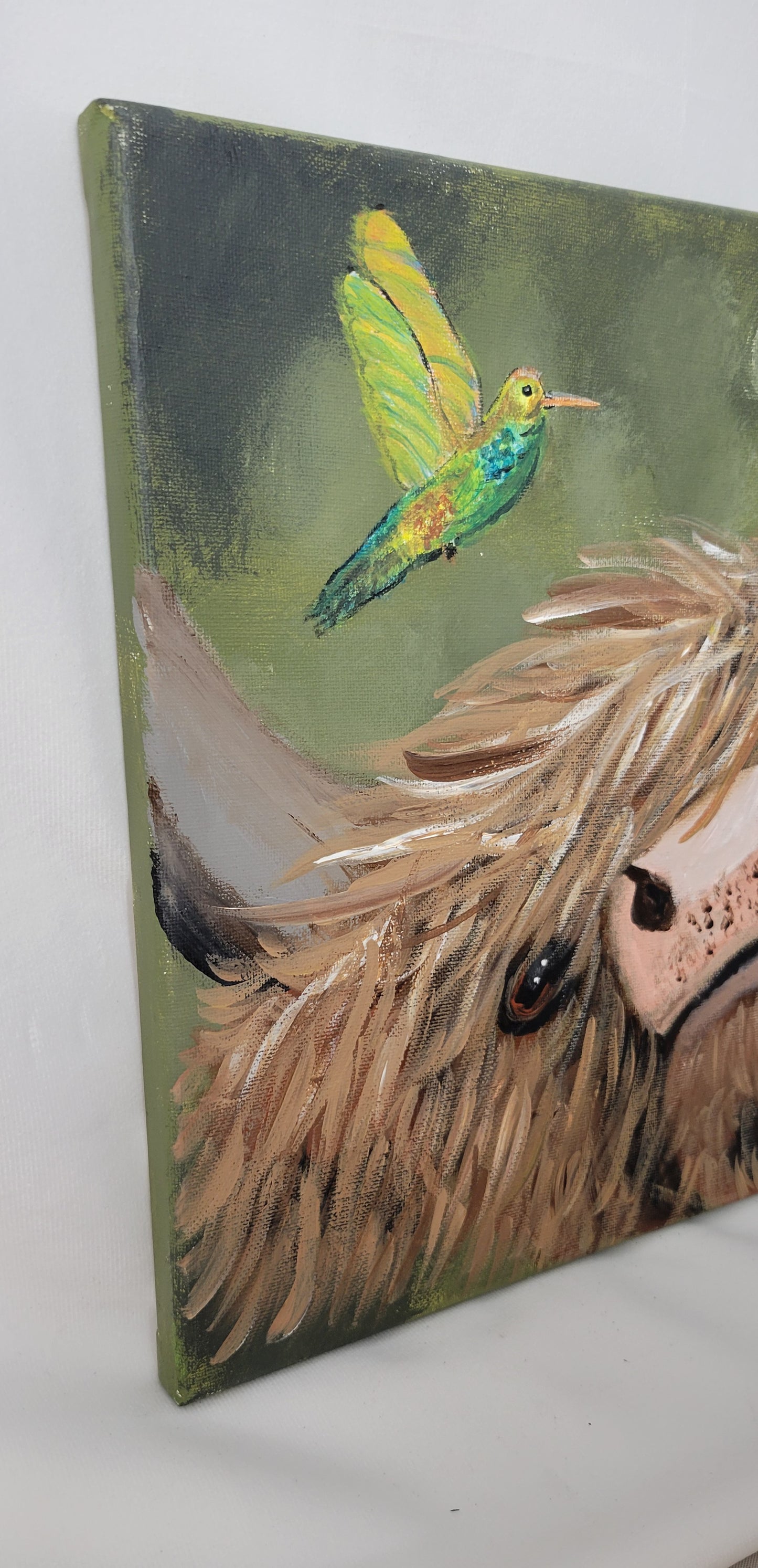 Meadow Whimsy – Highland Cow & Hummingbird Canvas Wall Art